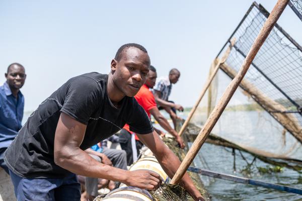A member of Alego young turks monitors a fishing cage