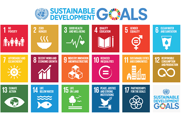Graphic showing the sustainable development goals
