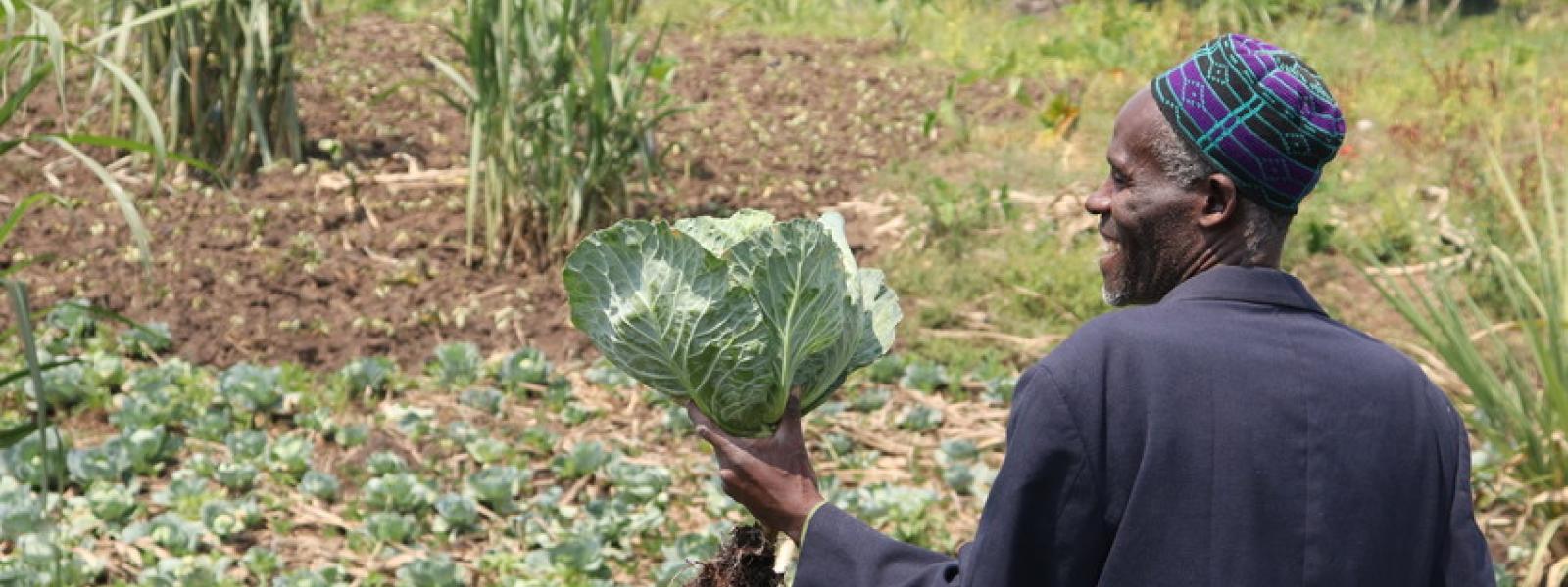 Abdul on the farm holding a cabbage