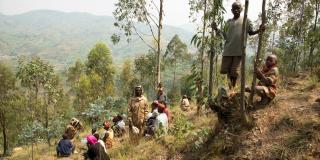 The remote disabled community of Shori village collect honey from Bee hives