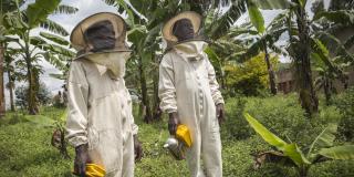 Beekeepers and members of the Umutsuma Co-Operative in Nyenyeri Village, Ngororero District, Rwanda.