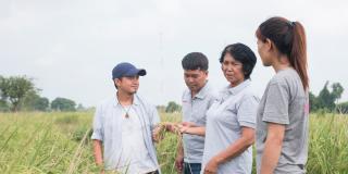 Volunteering in Cambodia. Farmer Ly Theort talks with international volunteers in one of her fields