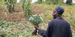 Abdul on the farm holding a cabbage