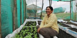 Chum Srey Nga (50) now uses her floating vegetable garden for income rather than fishing