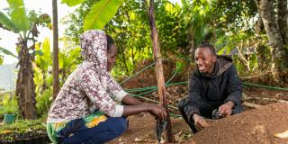 Youths chat under a tree