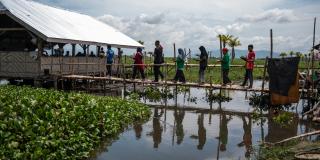 Women walking across bridge