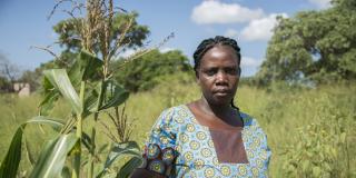 Woman with maize plant