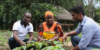 Farming in Zanzibar header