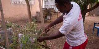 Peter Okoth is a Kenyan volunteer supporting farmers in Ghana Peter Okoth is a Kenyan volunteer supporting farmers in Ghana