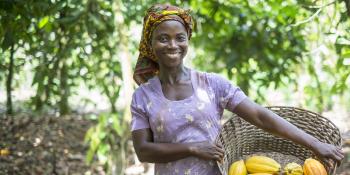 Ghanaian Cocoa farmer