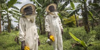 Beekeepers and members of the Umutsuma Co-Operative in Nyenyeri Village, Ngororero District, Rwanda.