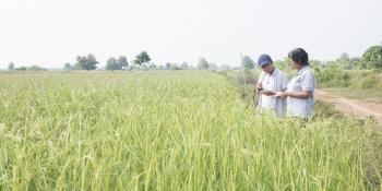 Volunter Al Razon talks with co-operative leader Ly Theort on the edge of a field at her farm