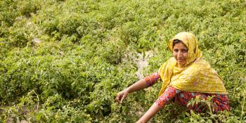 Murzina Khatun, a mother of three and farmer, crouches amidst her crops