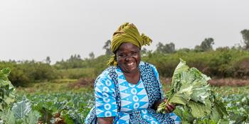 YEEP members supporting in harvesting the vegetables for sale.