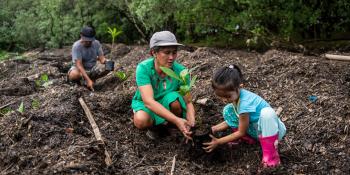 Family plants mangrove trees