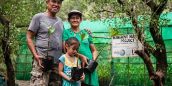 Family planting mangroves