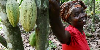 Woman cocoa farmer with cocoa pods in Ghana