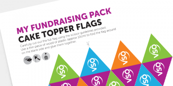 these eye catching cake-top-flags will add a splash of colour to your cake sale these eye catching cake-top-flags will add a splash of colour to your cake sale