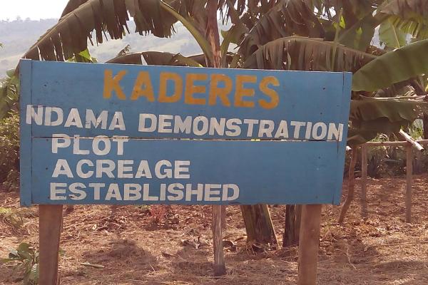 A sign outside Kaderes demonstration plot