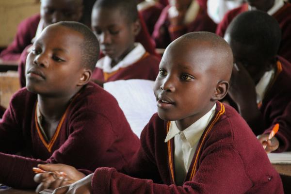 Two schoolboys work at their desks in the classroom