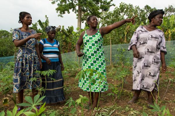 Women's Extension Volunteer Julia Aboaagyewa shows her demonstration garden to some other members of her women's group