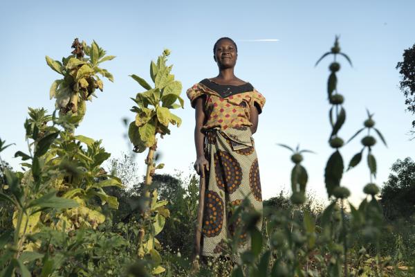 Solar Mama Eililoy stands tall amongst her crops