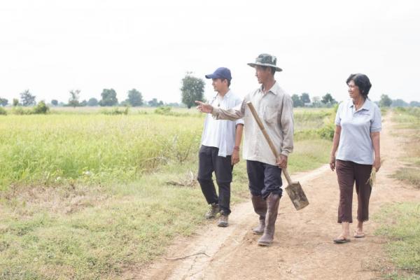 Dr Martin assesses the rice fields