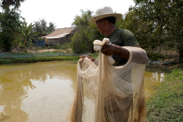 A fisherman prepares to cast a net to catch fish from a pond