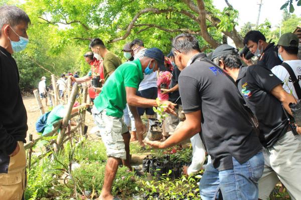 A group of community volunteers crowded round a mangrove plant
