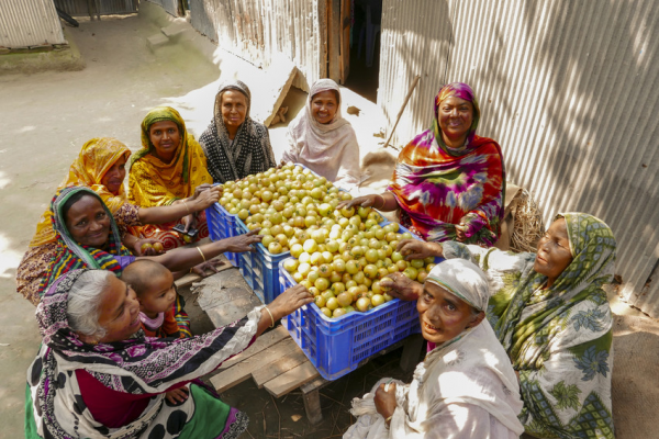 Women farmers with harvest. Rangpur, Bangladesh