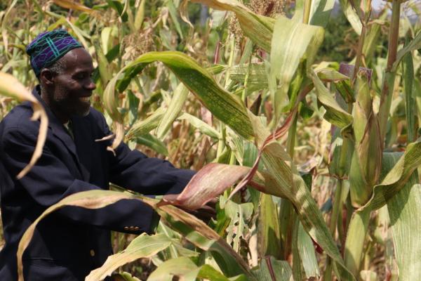 Abdul farming his crops