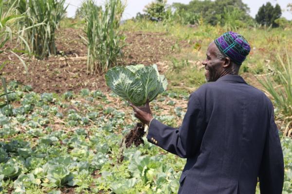 Abdul on the farm holding a cabbage