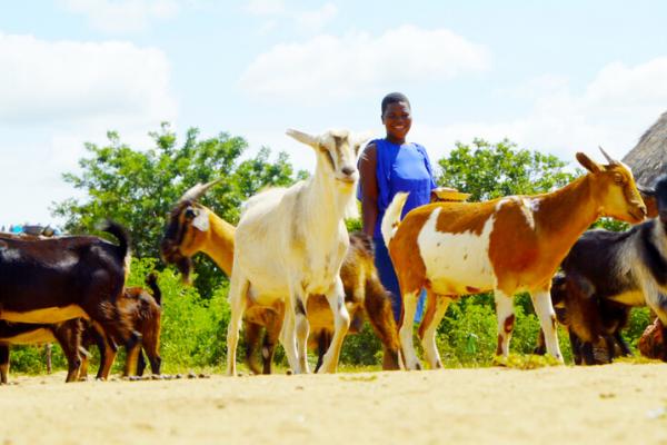 Tsitsi Mukondo member of the goat farming group