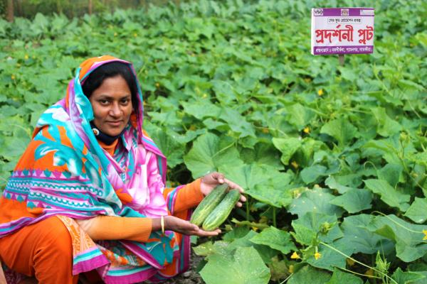 Sufia with her crops