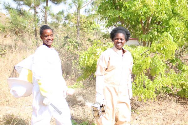 Volunteers in bee keeping suits