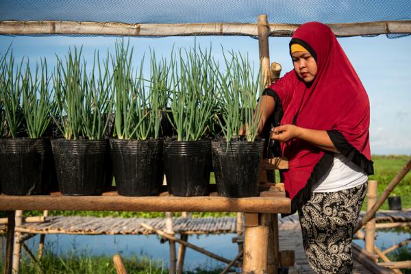 Woman planting