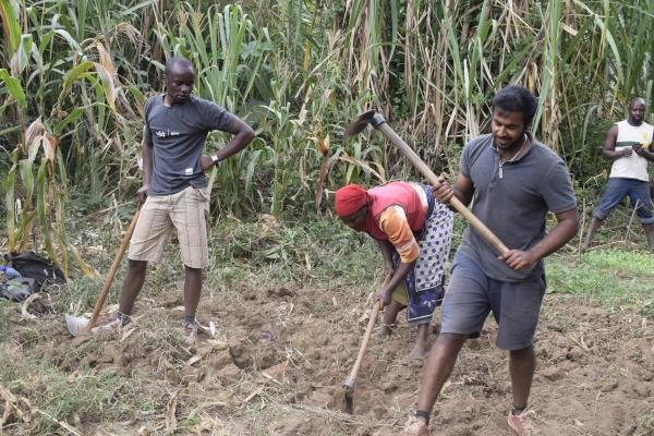 Farmers till land