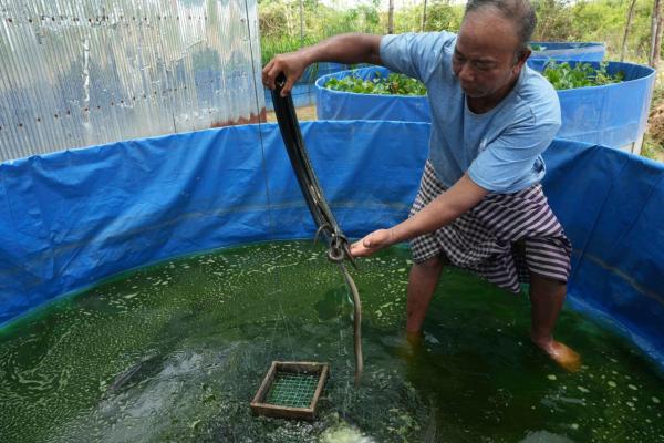 Eel farmer