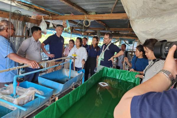 Eel farming presentation
