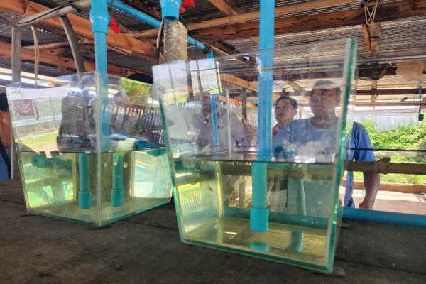 Eel farm