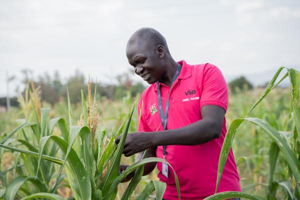 VSO volunteer Alfred in a vegetable garden, tending to crops.