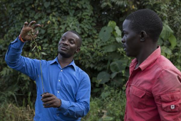 Whycliffe at work in his tree nursery, with his employee Richard